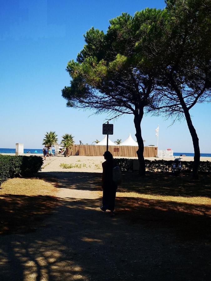 Charmant T2 Terrasse, Bord De Mer Argeles-sur-Mer Bagian luar foto